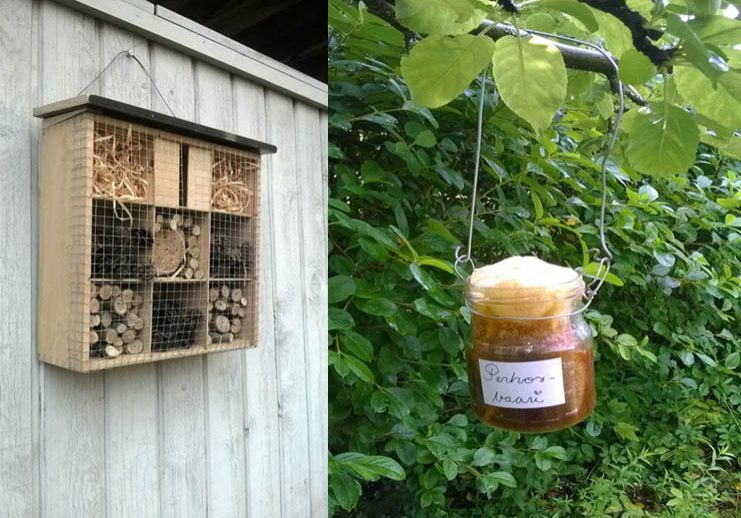 HyonteishotelliPerhosbaari